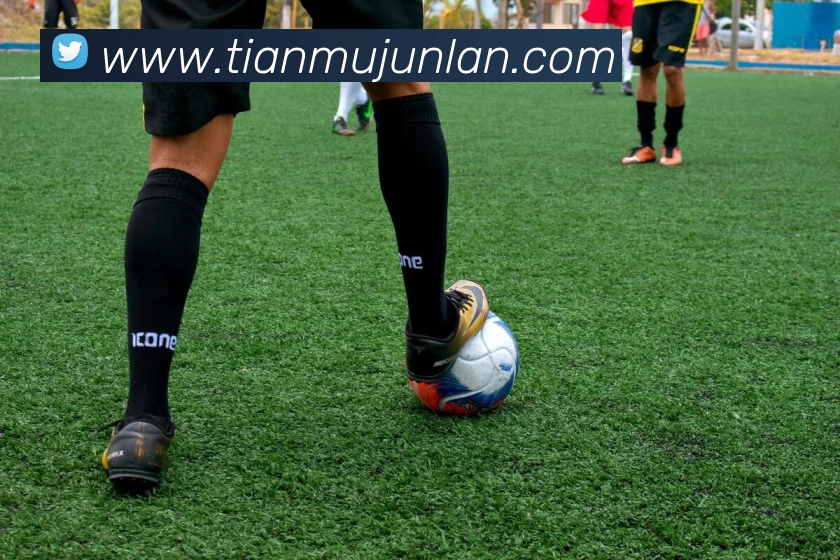 App Interface Preview