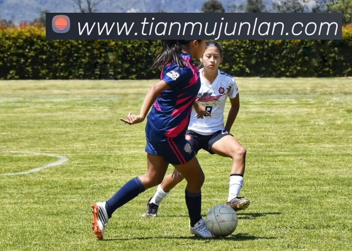 英亚官网APP 封面图